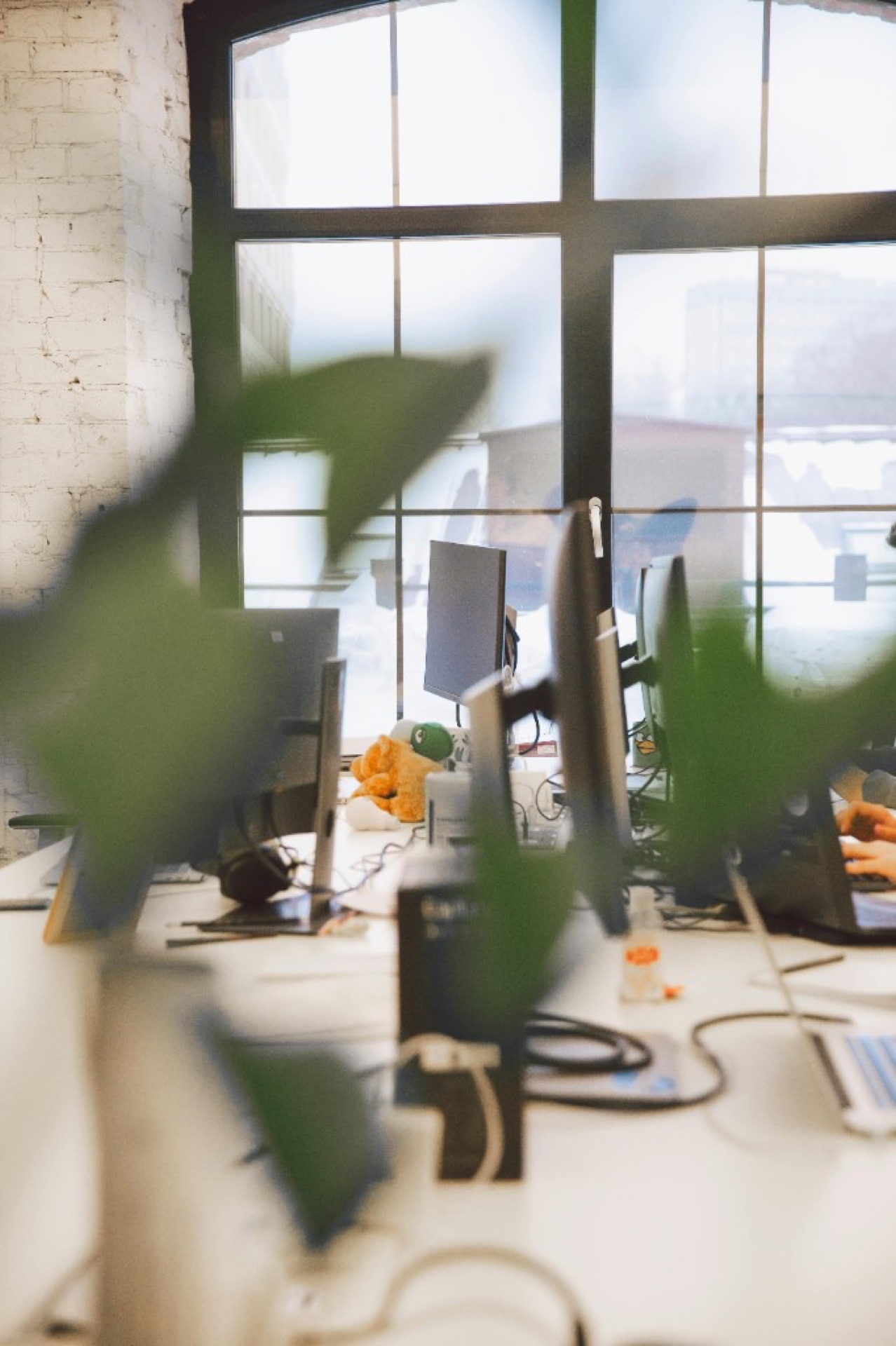 European SaaS Company — SaaS